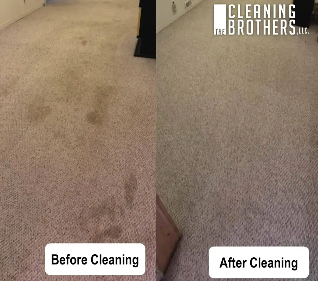 Carpet cleaning before and after results