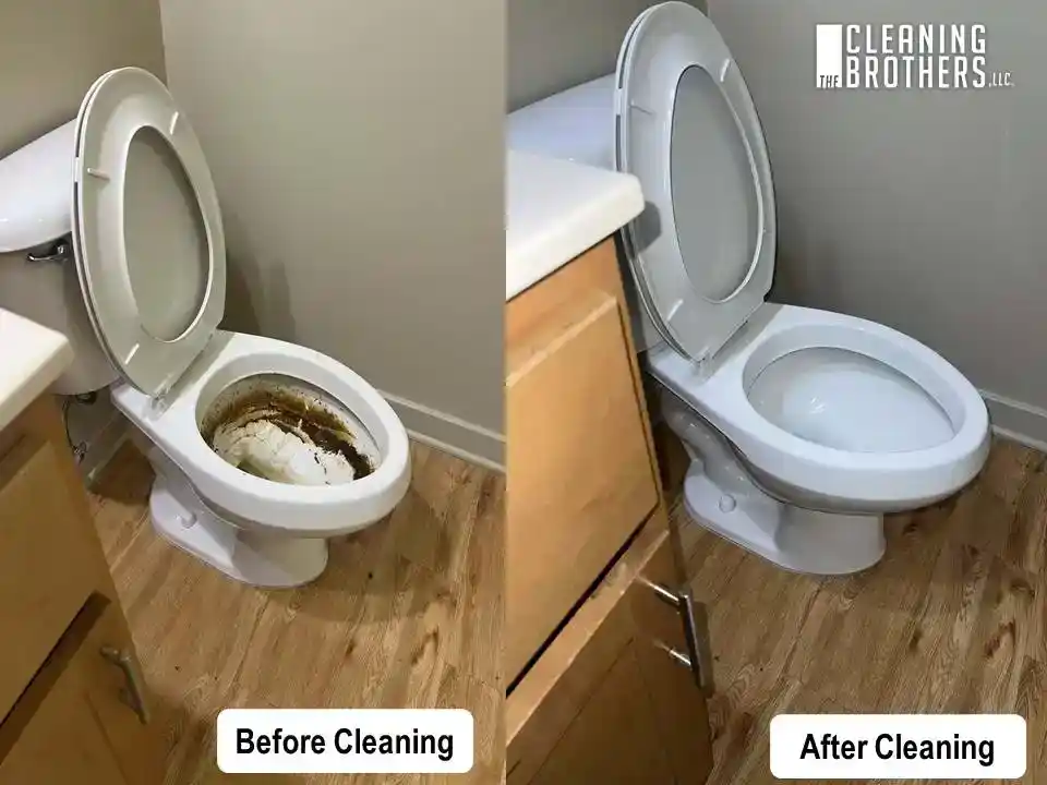 Toilet cleaning and sanitization before and after