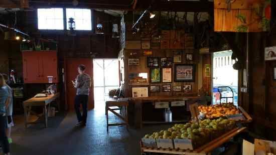 Fruit trees and vegetable garden around a Yakima cottage on historic orchard land